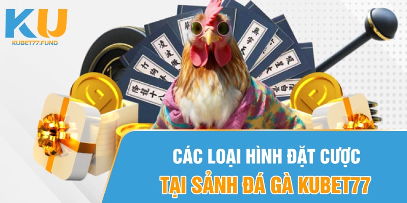 Các loại hình đặt tại sảnh đá gà Kubet77